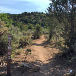Innie Trail