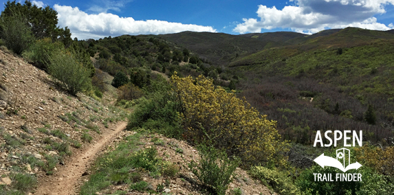 Porcupine Trail