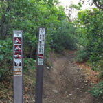 Skill Saw Trail