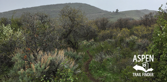 Skull Bucket Trail