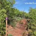 Vanderhoofin-It-Trail-Glenwood-Springs