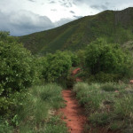 Vanderhoofin-It-Trail-Wulfsohn-Mountain-Park-Glenwood-Springs