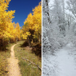 Aspen-Trail-Finder-RFV-Conditions