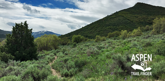 Cozy Point Trail