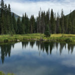 Silver Dollar Pond