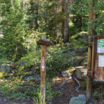Chapman Lake Trail