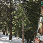 Elvis-Presley-Shrine-Aspen-Mountain