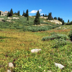 South Fork Pass Trail