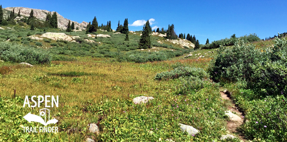 South Fork Pass Trail