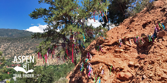 Annie's Wishing Tree