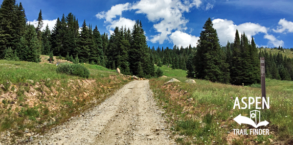 Ivanhoe Lake Road