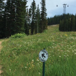 Power-of-1-Trail-Aspen-Mountain