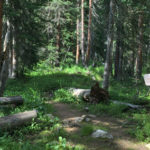 Tellurium Lake Trail