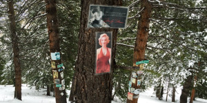 Aspen Shrines