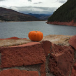 Pumpkins of Fryingpan Road