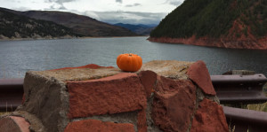 Pumpkins of Fryingpan Road