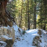 Stirling Wilderness Trail