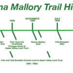 Timeline