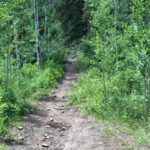 Braderich Creek Trail