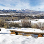 Dottie Fox Overlook