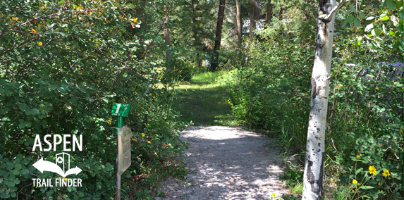 Marble Disc Golf Course