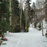 Marion-Gulch-Trail-Winter-Carbondale