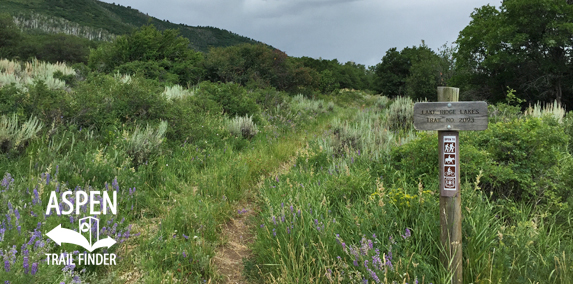 Lake Ridge Lakes Trail #2093