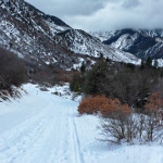 Avalanche-Creek-Road-Winter-Carbondale