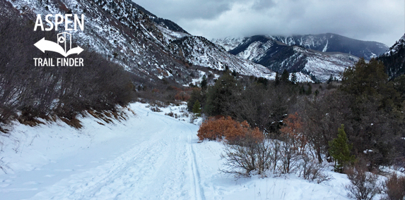 Avalanche Creek Road