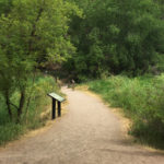 Coyote Trail