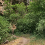 Koper's Trail