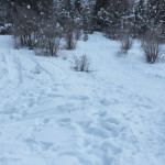 South Canyon Sledding Hill