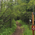 Tom-Blake-Equestrian-Trail-Snowmass-Village