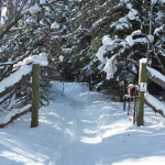 Tom-Blake-Equestrian-Trail-Winter-Snowmass-Village