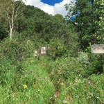 Carbonate Creek Trail