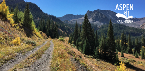 Cooper Creek Road