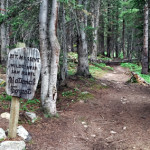 Native Lake Trail