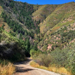 Red Mountain Road