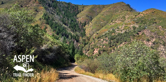 Red Mountain Trail Jeanne Golay Trail