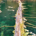 Hanging Lake Log