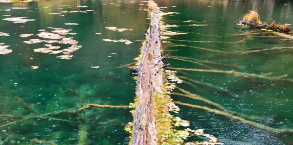 Hanging Lake Log