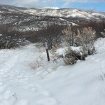 Fisher-Creek-Area-Winter-Carbondale