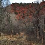 Red-Canyon-Trail