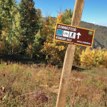 Connector Trail