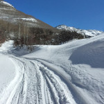 Daniels-Hill-Winter-Marble