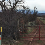 Fisher Cemetery Road (CR 62)