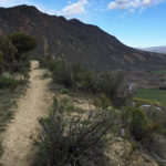 Mt. Medaris Trail