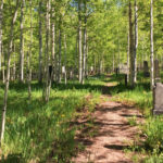 Aspen Grove Cemetery