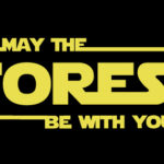 May The Forest Be With You