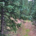 Green Mountain Trail
